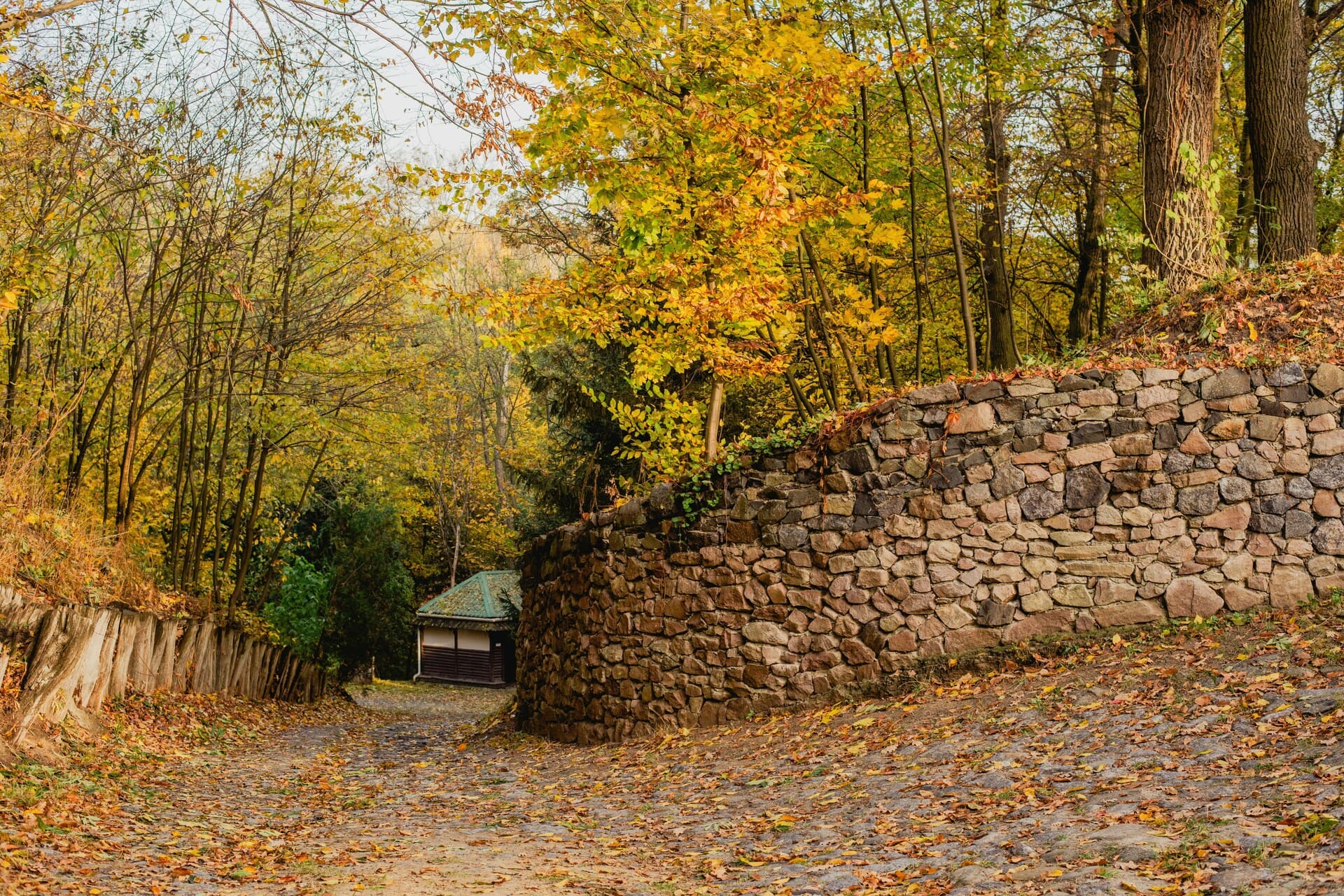 Pyrohiv Museum in Kyiv - stone path leading through autumn forest