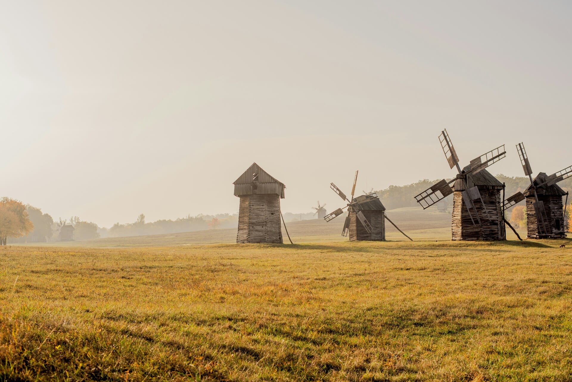 Pyrohiv Museum in Kyiv - line of traditional wooden windmills on open grassland
