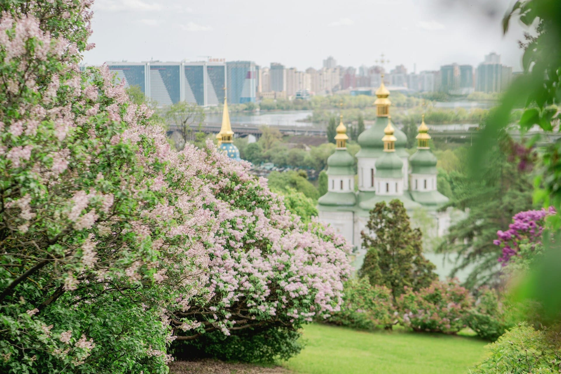 View of blooming lilacs overlooking the Vydubychi Monastery in Kyiv