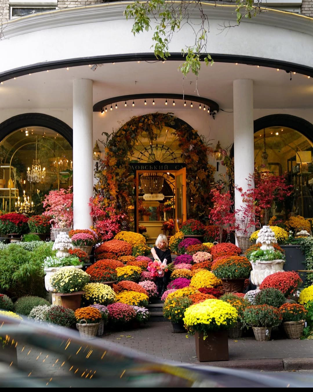 Klovskyi Sai in Kyiv - flower shop entrance covered with colourful chrysanthemums in autumn, with a person arranging flowers among potted plants