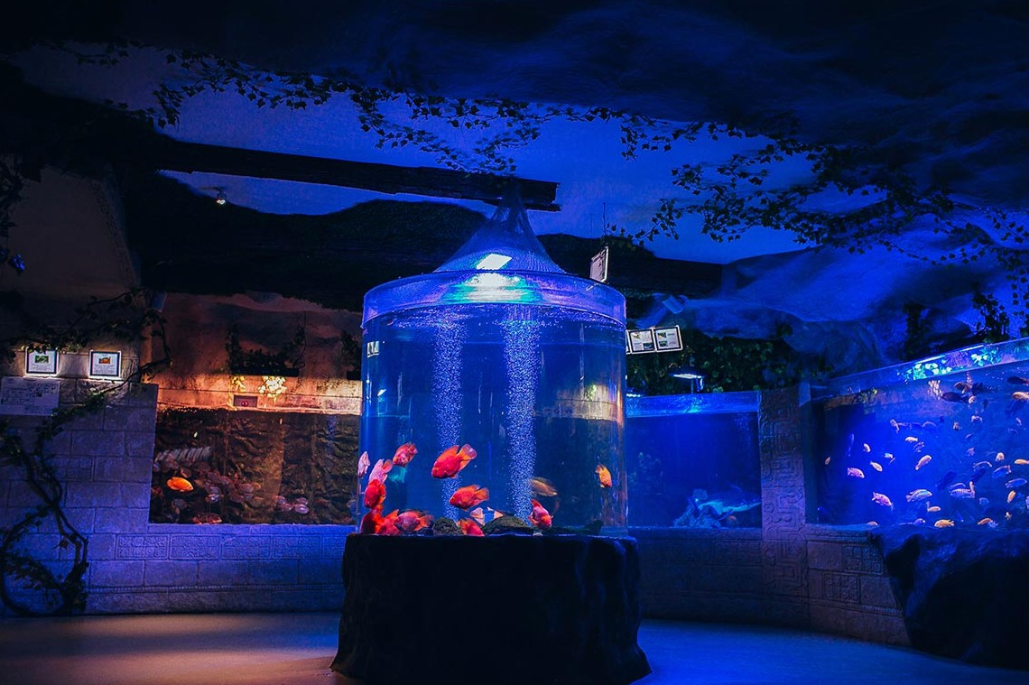 Okeanarium Morska Kazka in Kyiv - large aquarium filled with bright red fish standing in the middle of the hall
