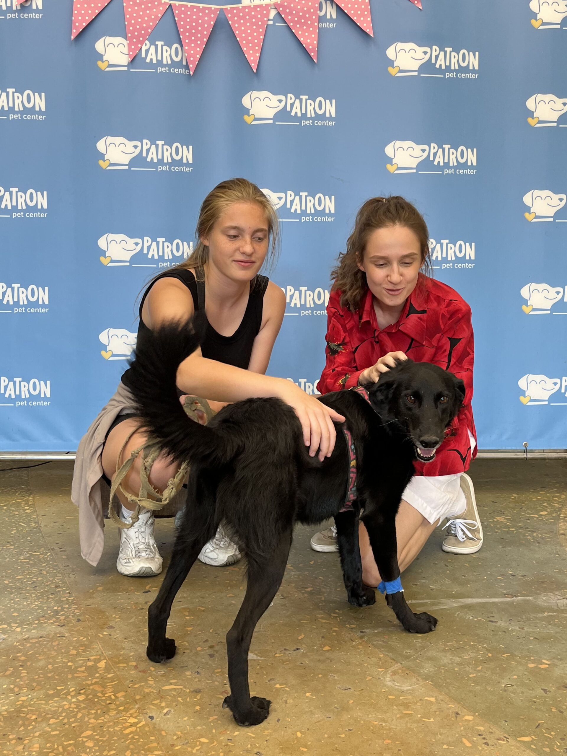 Patron Pet Center in Kyiv - two girls petting a shelter dog after a walk