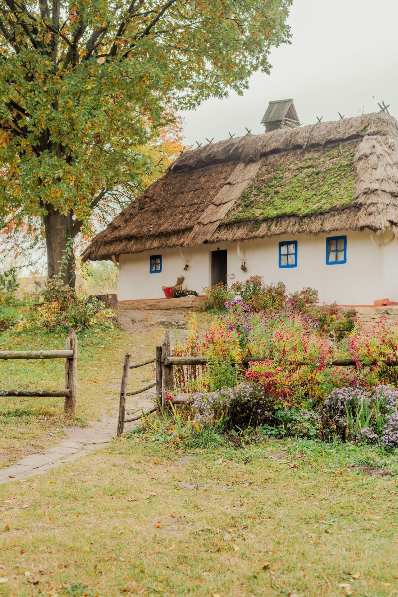 Pyrohiv Museum in Kyiv - whitewashed rural house with thatched roof and garden