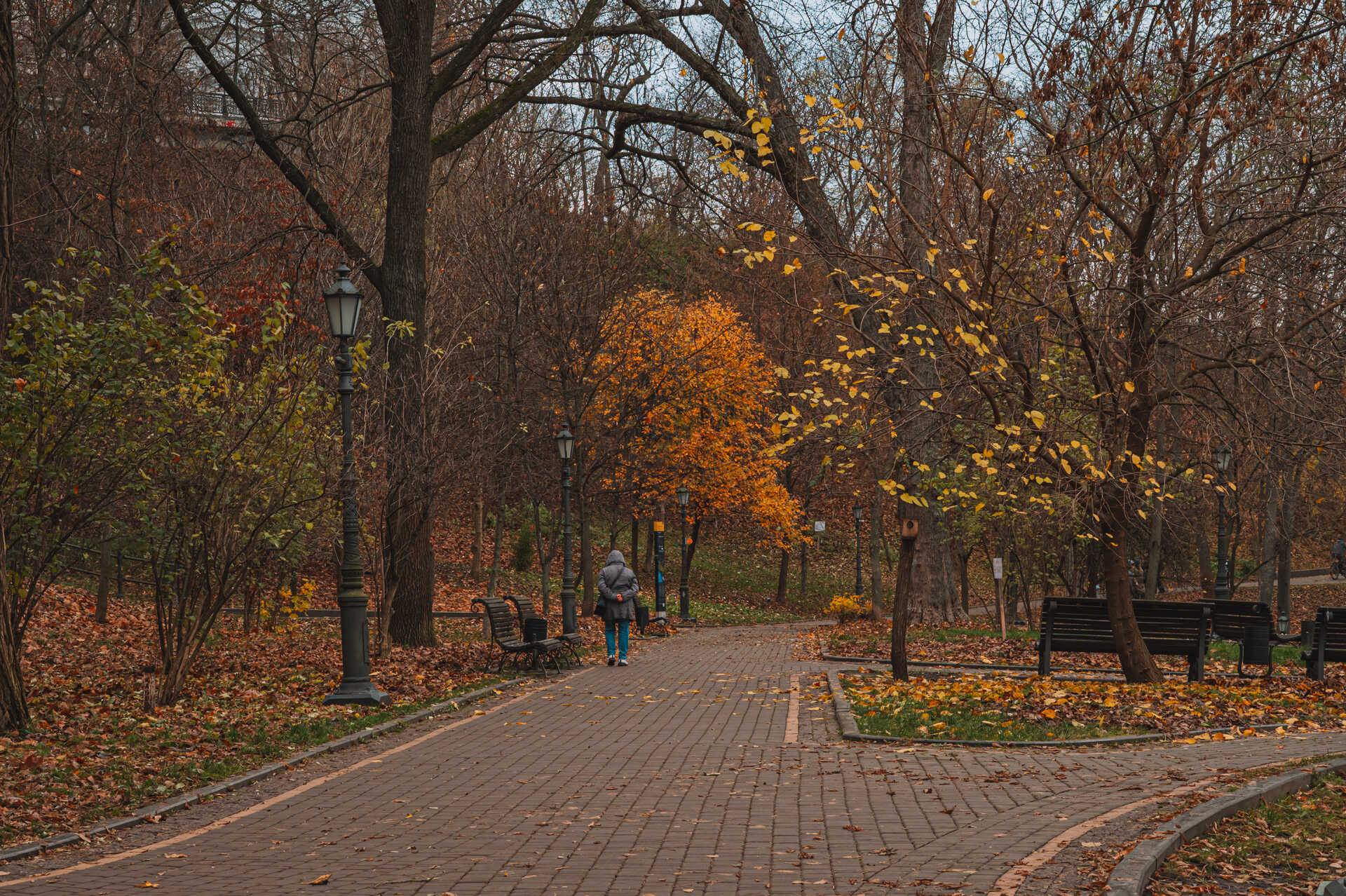 Volodymyrska Hill - paved park alley with vintage street lamps