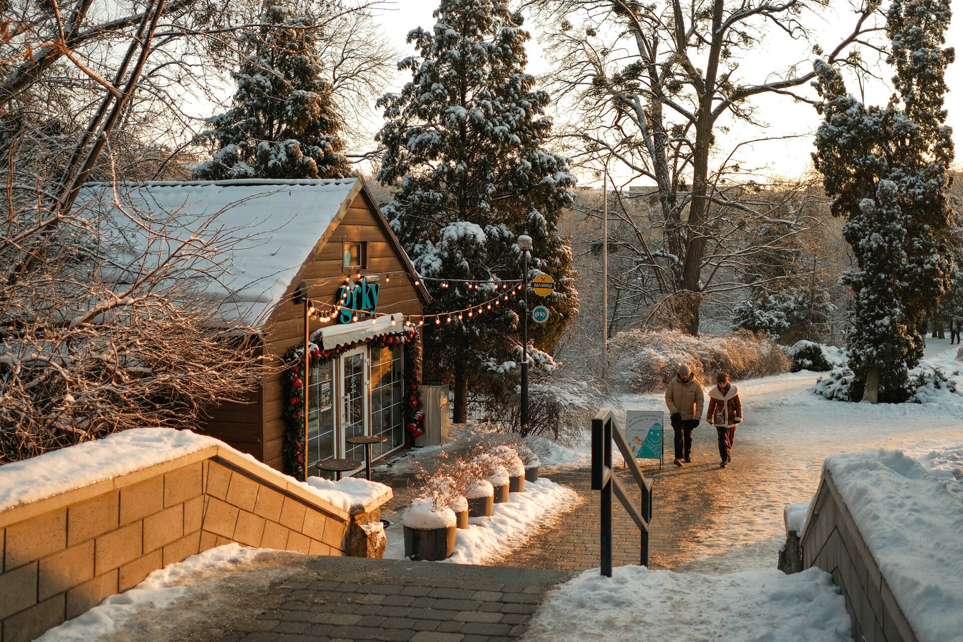 Coffe kiosk with festive lightsin Fomin Botanical Garden in Kyiv
