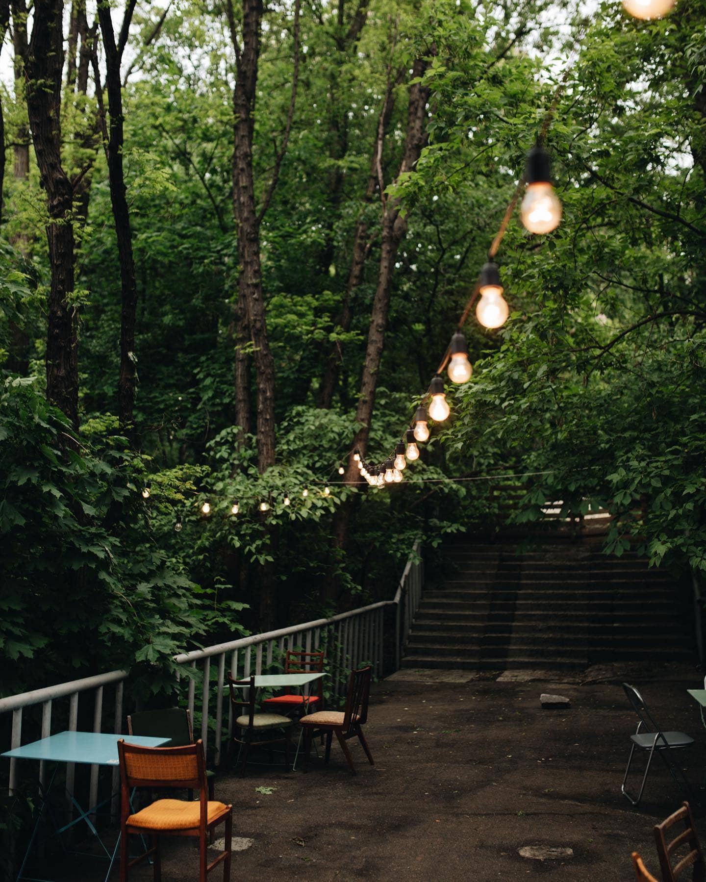 Green terrace of the Octotower coffee shop in Kyiv