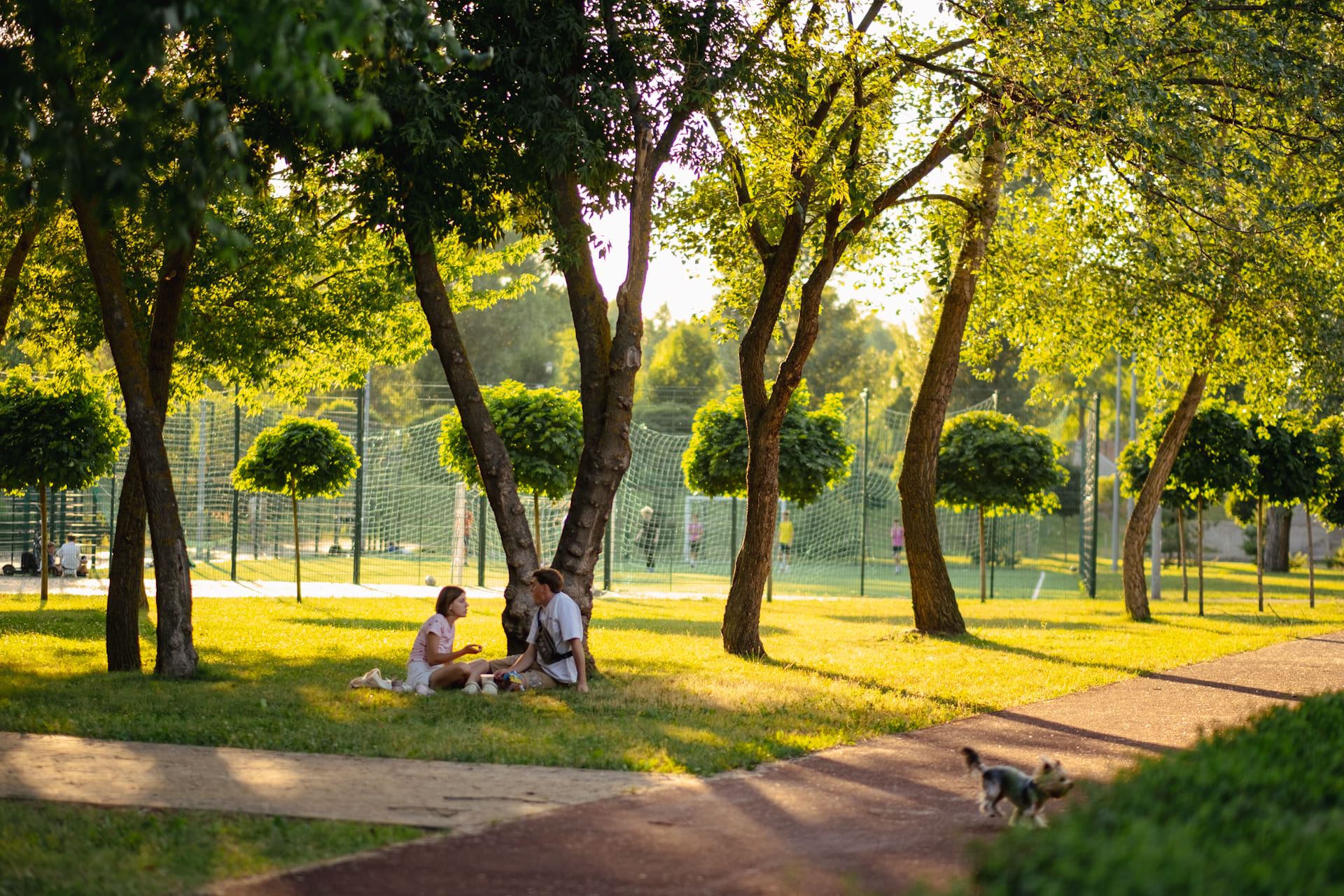 Where to go on a date in Kyiv: romantic spots and ideas