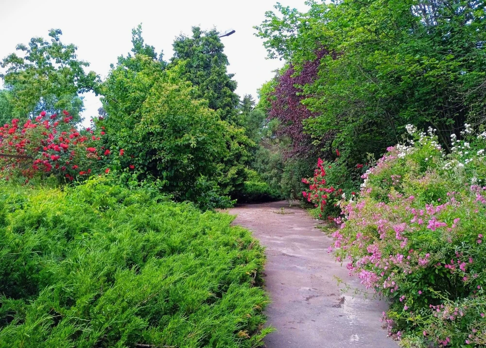 Nature in Syretskyi Arboretum
