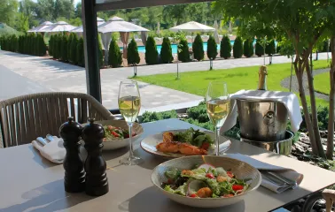 Shambala Wellness Club spa complex: dishes and wine on the terrace