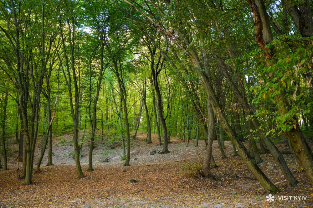 gallery-swiper__item-img