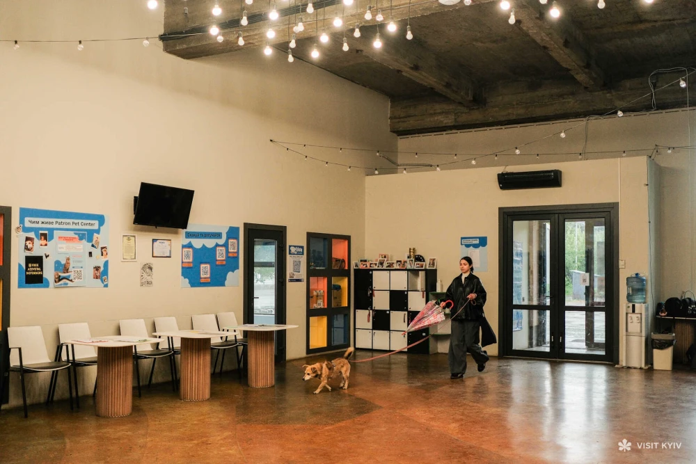 Interior of the Patron Pet Center at VDNH in Kyiv, where a visitor walks a dog