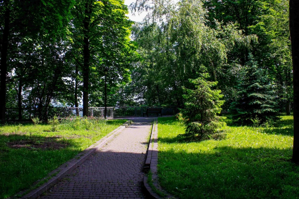 Khreshchatyi Park in Kyiv - sunny paved alley with green trees and a path leading to a bench