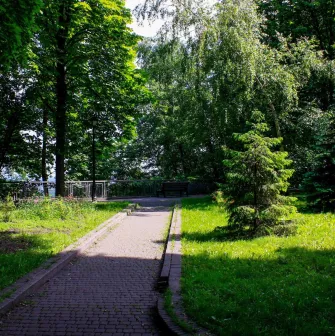Khreshchatyi Park in Kyiv - sunny paved alley with green trees and a path leading to a bench