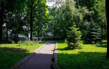 Khreshchatyi Park in Kyiv - sunny paved alley with green trees and a path leading to a bench