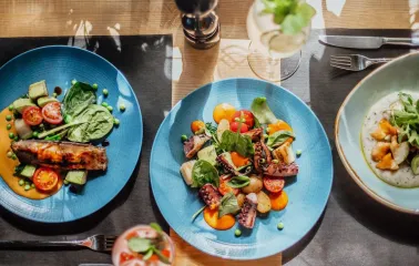 Restaurant Odesa - overhead view of two blue plates with seafood and salads