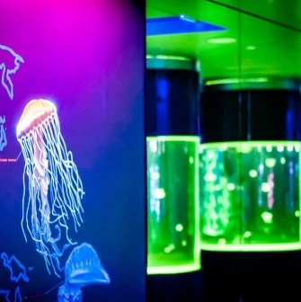 A neon map with a jellyfish on the museum wall and illuminated aquariums at the Jellyfish Museum in Kyiv