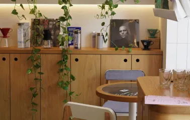 Takava in Kyiv - coffee shelf display with hanging plants and brewing equipment