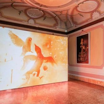 Video installation with birds in the exhibition hall of the PinchukArtCentre in Kyiv