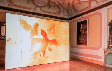 Video installation with birds in the exhibition hall of the PinchukArtCentre in Kyiv
