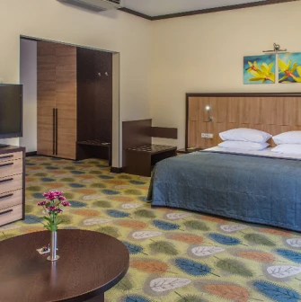 Double room at Park Hotel Holosiivskyi in Kyiv