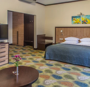 Double room at Park Hotel Holosiivskyi in Kyiv