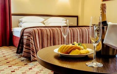 Room at Park Hotel Holosiivskyi in Kyiv with romantic table setting