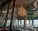 chary restaurant 1