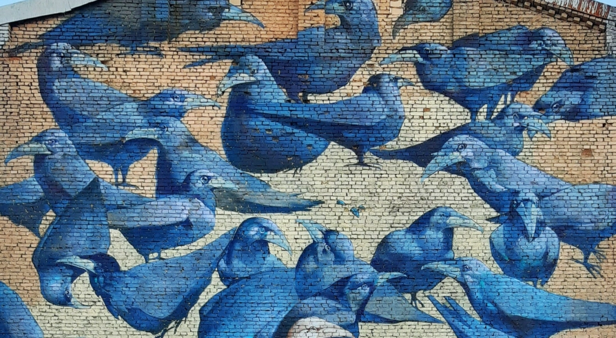 Messenger of Life in Kyiv - mural depicting a white crow symbolizing bright life amidst darkness