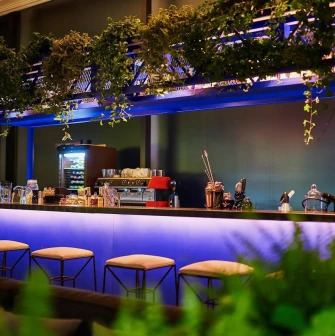 Par Bar - illuminated counter with plants and bar stools