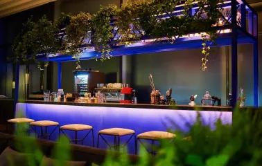 Par Bar - illuminated counter with plants and bar stools
