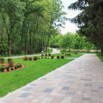 Babyn Yar in Kyiv - peaceful paved alley lined with tall trees and manicured green lawns