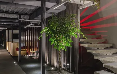 fatum bar 4