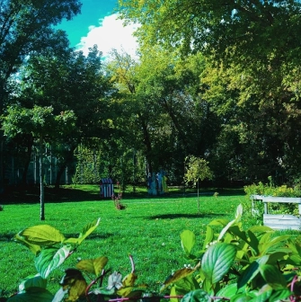 Samosad in Kyiv - panoramic view of the community garden featuring a lush green lawn, wooden raised beds and trees