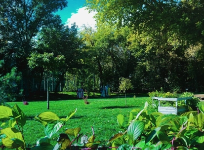 Samosad in Kyiv - panoramic view of the community garden featuring a lush green lawn, wooden raised beds and trees