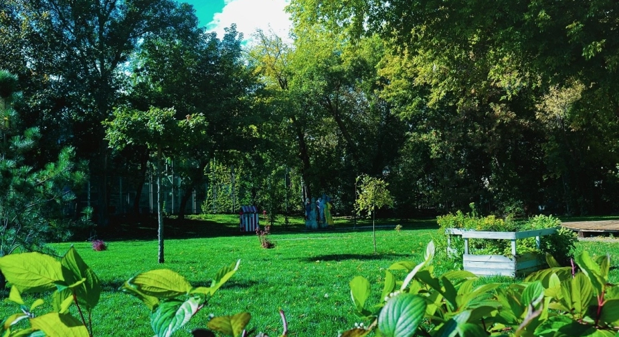 Samosad in Kyiv - panoramic view of the community garden featuring a lush green lawn, wooden raised beds and trees
