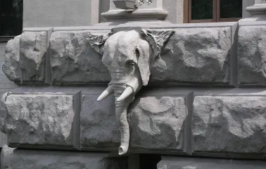 Budynok Horodetskoho in Kyiv - realistic elephant head sculpture protruding from the wall