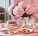 Specialties of Namelaka restaurant in Kyiv