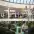 respublika park 4