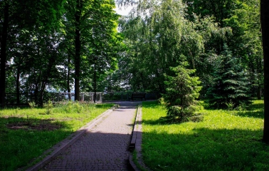 Khreshchatyi Park in Kyiv - sunny paved alley with green trees and a path leading to a bench