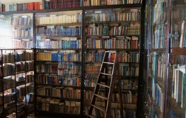 Muzei Tychyny in Kyiv - home library with thousands of books and a wooden ladder