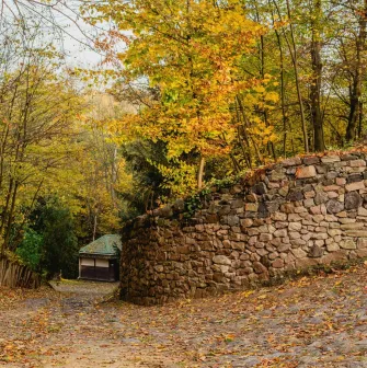 Pyrohiv Museum in Kyiv - stone path leading through autumn forest