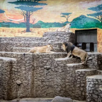 kyiv zoo 4