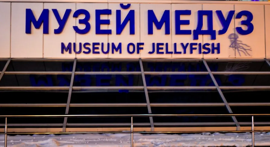 jellyfish museum