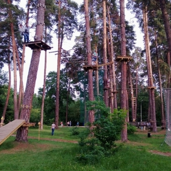 Seiklar Park in Kyiv - panoramic view of the multi-level rope courses integrated into the tall pine forest