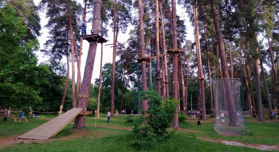 Seiklar Park in Kyiv - panoramic view of the multi-level rope courses integrated into the tall pine forest