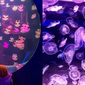 A visitor looks at jellyfish in a large round aquarium at the Jellyfish Museum in Kyiv