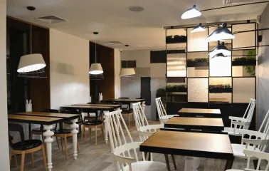 Honey in Kyiv - dining room with large cone lamps and plants