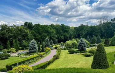 Panoramic view of a well-maintained landscaped park with coniferous trees and an alley