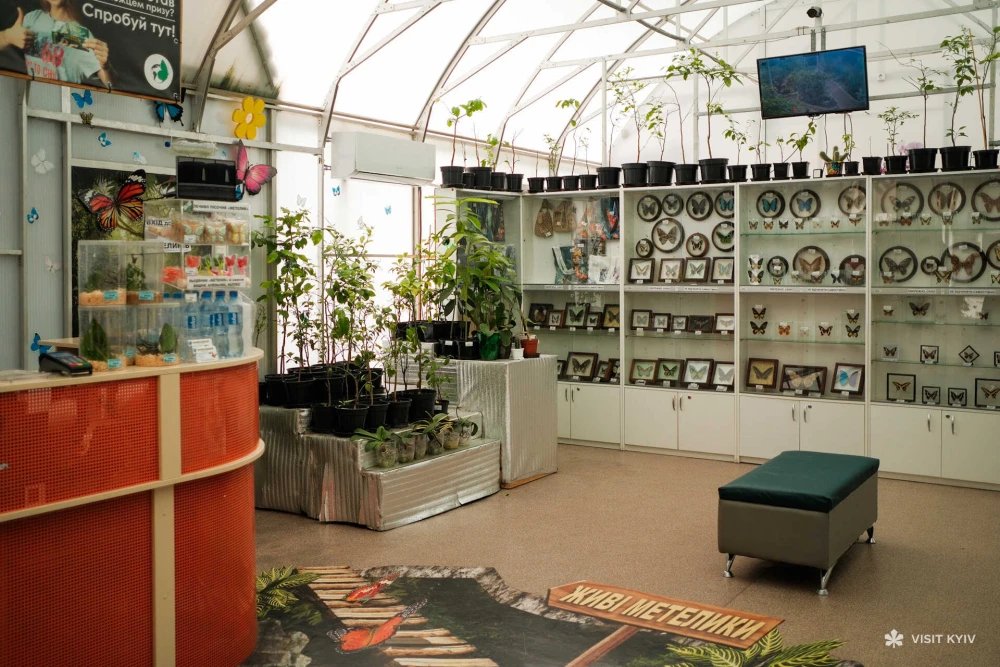 Greenhouse interior with live butterflies and a collection of exhibits at "Butterfly Planet" on VDNG in Kyiv