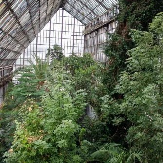 fomin botanical garden 5